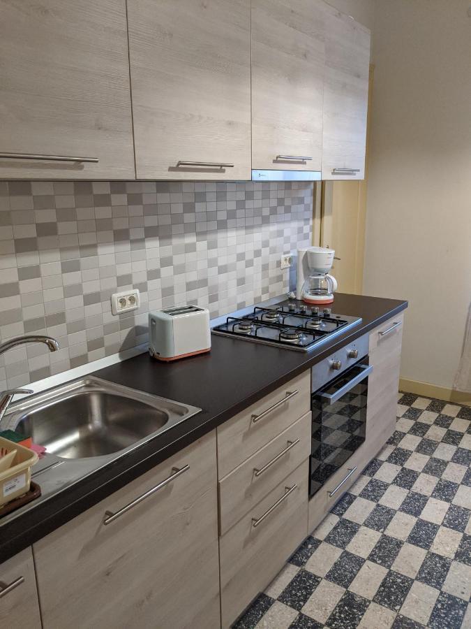 Cristian Apartment Near Old Town Timişoara Eksteriør billede