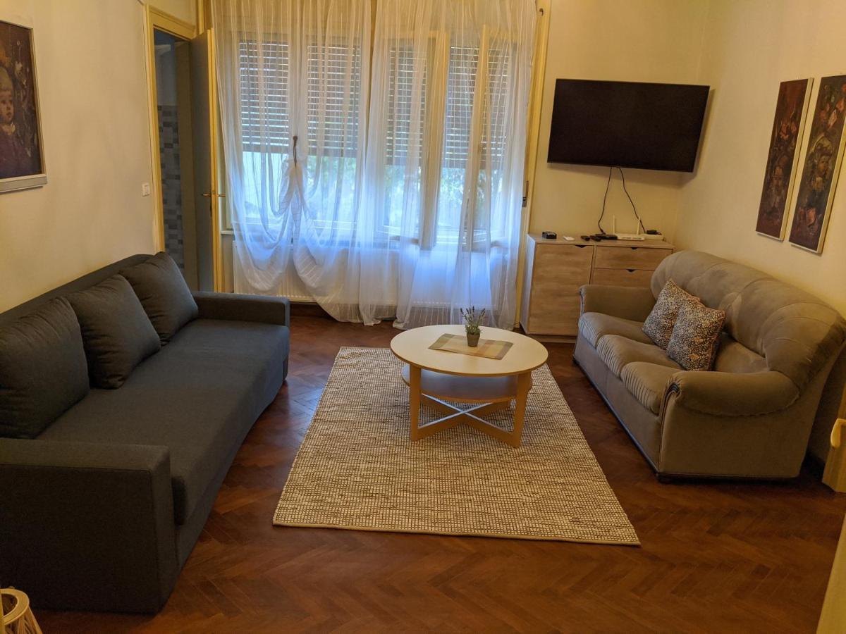 Cristian Apartment Near Old Town Timişoara Eksteriør billede