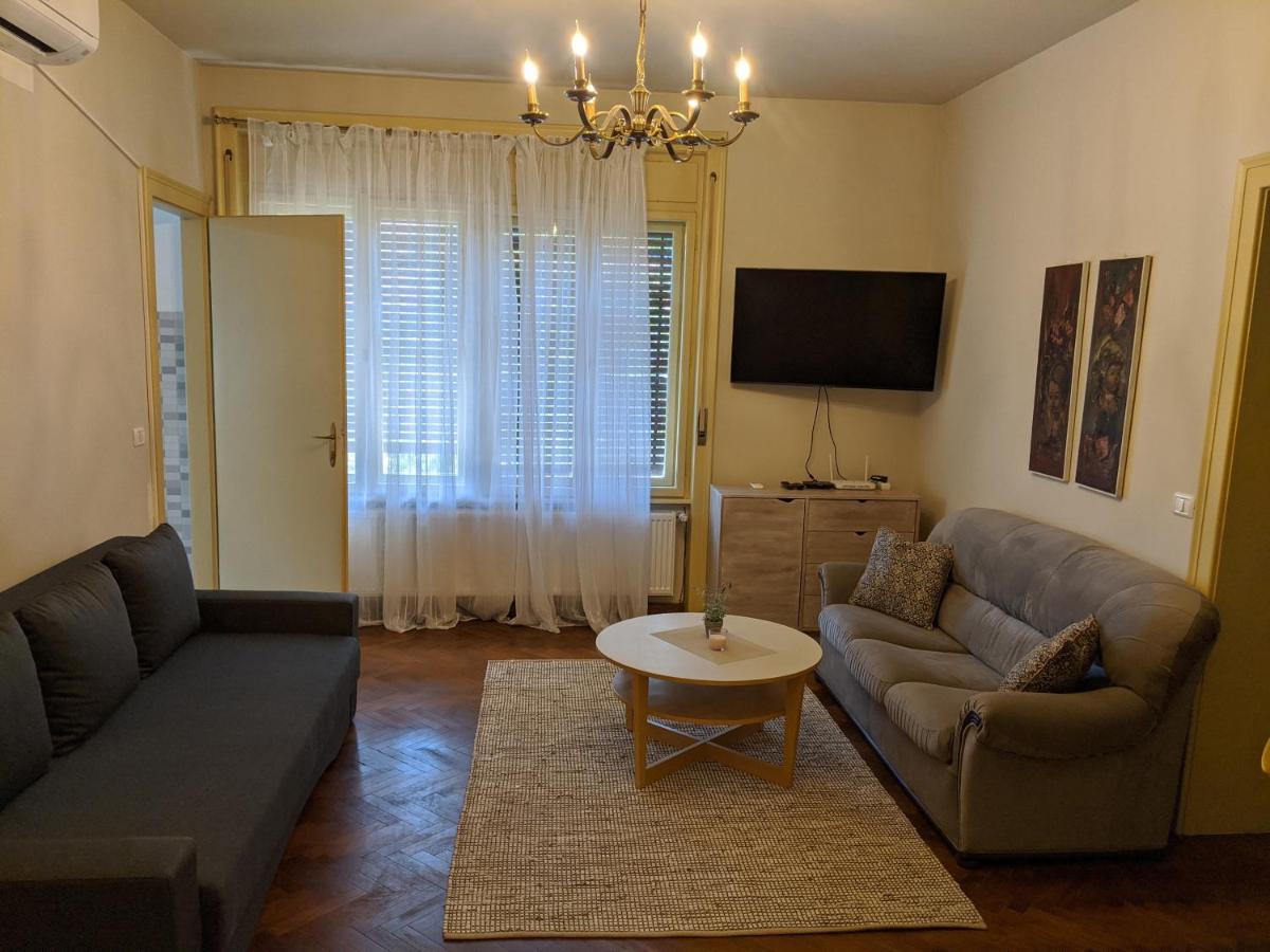 Cristian Apartment Near Old Town Timişoara Eksteriør billede